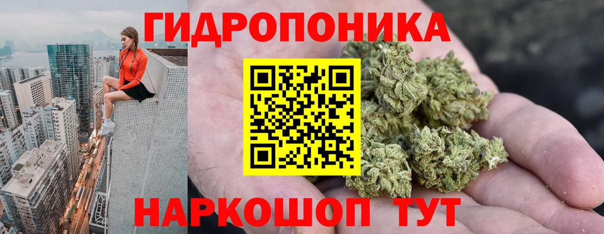 Канабис Bruce Banner  Конопля план  Вход с VPN  Конопля MAZAR  Шишки марихуана индика  Чапаевск 